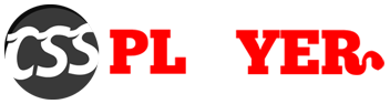 CSS PLAYER IT SOLUTIONS PVT LTD logo